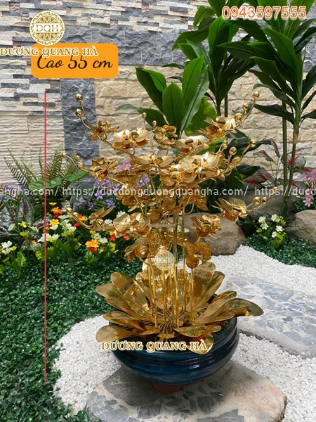 z4293082698294_9c7aaa4d22f250009fab486c7387dc3f